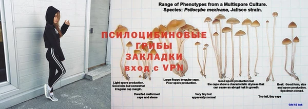 трава Алзамай
