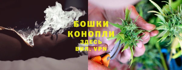 трава Алзамай