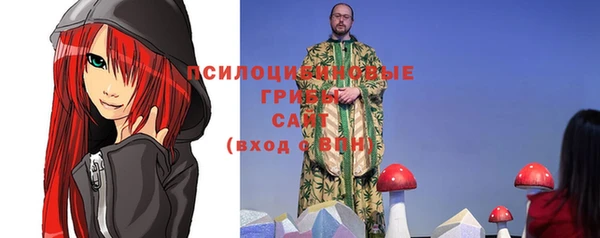 хмурый Абинск