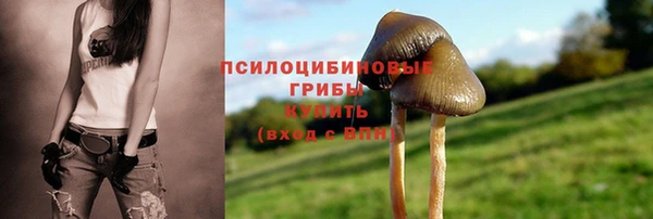 спайс Алексин