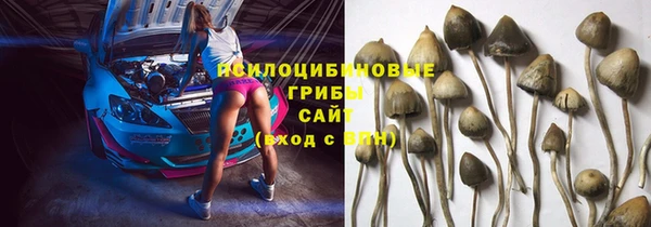 трава Алзамай